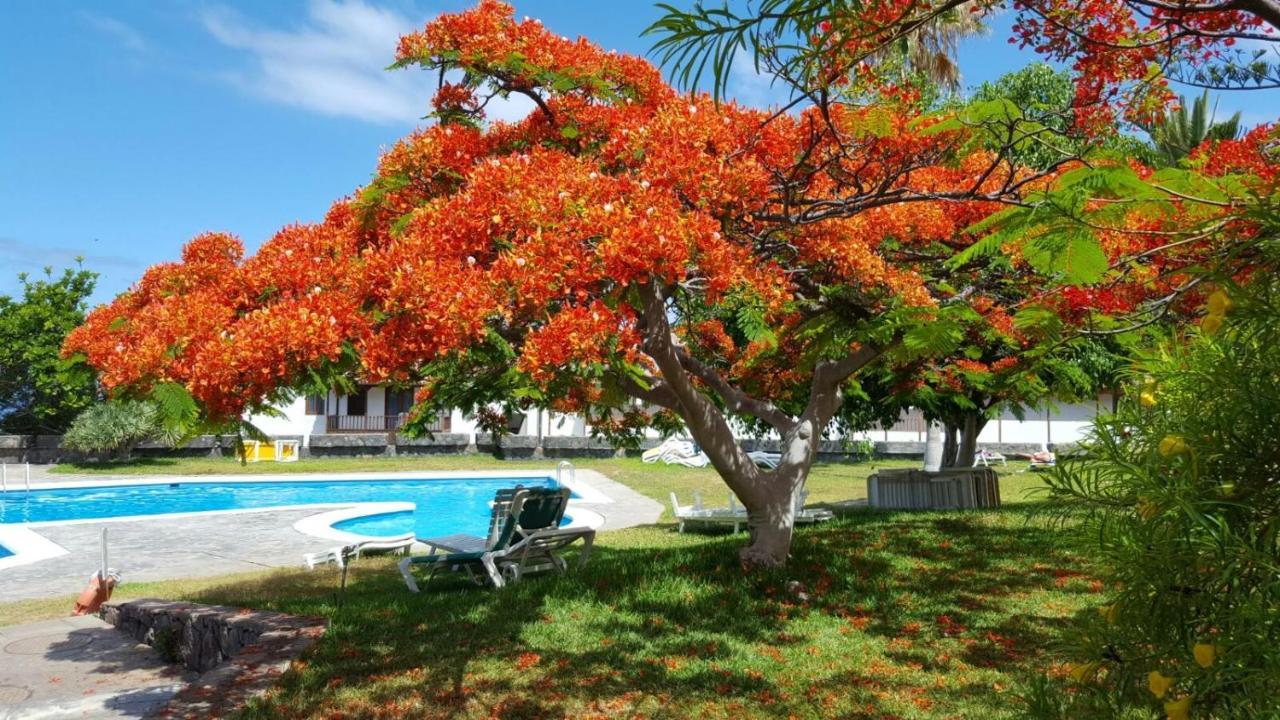 Apartamento Cerca De La Playa Apartment Acantilado de los Gigantes Ngoại thất bức ảnh